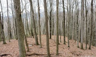 191 Bens Bnd, Bakersville, NC 28705
