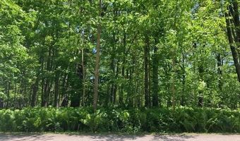 TBD Maple Isle Court Units 33 & 34, Alanson, MI 49706