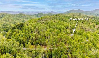81 Amsoil Dr, Bakersville, NC 28705