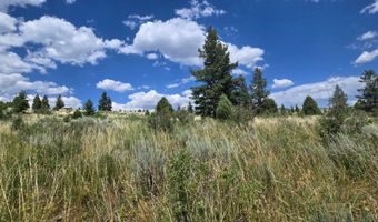unit 10 10, Bancroft, ID 83217