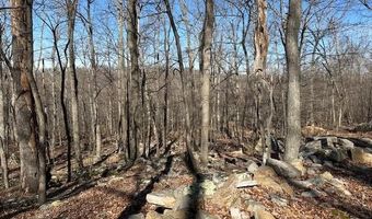 2 08 ACRES DEER PATH Rd, Augusta, WV 26704