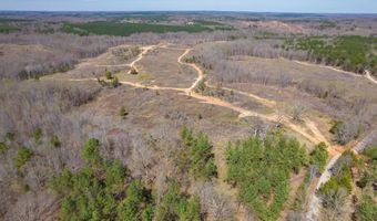 0 Vista Ln, Bethel Springs, TN 38315