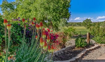 20658 Highway 84, Medanales, NM 87548