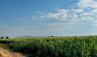 Orchard Bench Rd, Basin, WY 82410