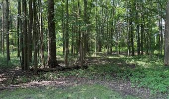 6365 Hayfield Ln, Almont, MI 48003