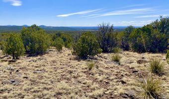 74 County Road 8056, Concho, AZ 85924