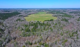 0 Tervin Mill Rd, Andalusia, AL 36421
