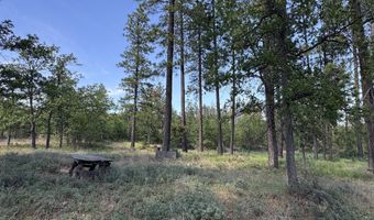 112 TIMBER Rd, Bickleton, WA 99322