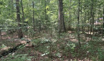 Lot 1069 Iron Gate Drive, Baneberry, TN 37890