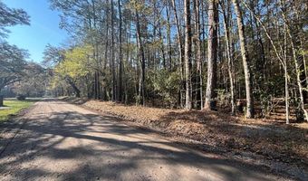 Willtown Road, Adams Run, SC 29426