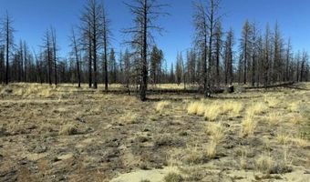 Mahogany Ln, Beatty, OR 97621