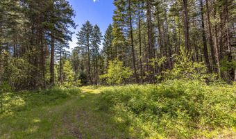 Nhn Red Hawk Drive, Bigfork, MT 59911
