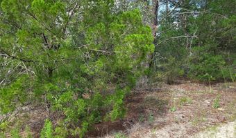 NE 95TH Street, Archer, FL 32618