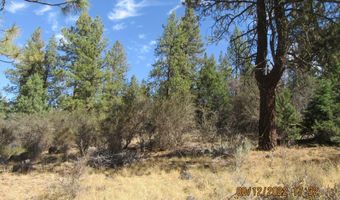 Brown Bear Lane lot 12W2, Bonanza, OR 97623