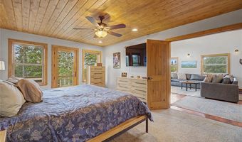 62 Lazy Rex Rd, Alma, CO 80440
