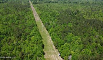 Christian Hts Road, Braxton, MS 39044