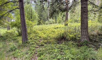 NNA Glacier Loop, Bayview, ID 83803