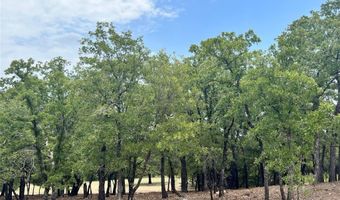 310 Rolling Bnd, Alvord, TX 76225