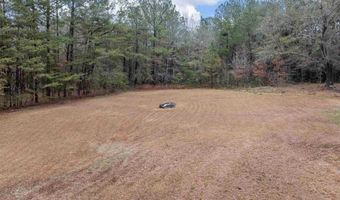 808 Old Buffalo Church Rd, Blacksburg, SC 29702