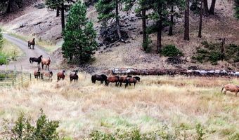 17629 Highway 66, Ashland, OR 97520