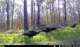 71 8 Klondike Rd, Anderson, MO 64831