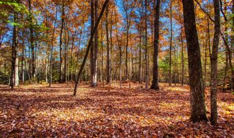54 E Ridge Rd, Allardt, TN 38504