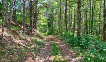 M19 L8 Church Farm Road, Beddington, ME 04622