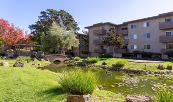 1311 Webster St E316, Alameda, CA 94501