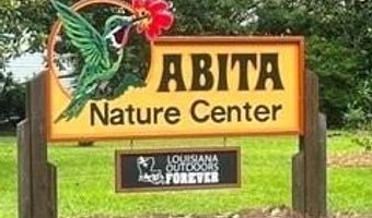 CHAPMAN Drive lot 10, Abita Springs, LA 70420