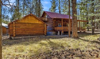 30 County Road 2066, Alpine, AZ 85920