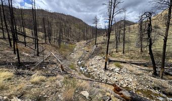 122 Black Hollow Rd, Bellvue, CO 80512