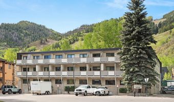 100 E Dean St 1D, Aspen, CO 81611