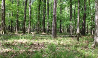 Ruffner Road 00, Barnesville, GA 30204