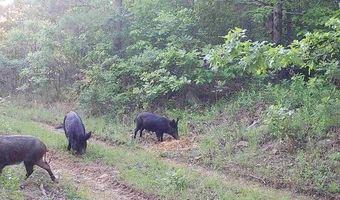 TRACT 38 PIN OAK PATH, Albion, OK 74571