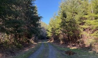 Steer Creek Rd, Blodgett, OR 97326