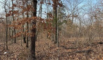 Arnhart Street, Ash Flat, AR 72513