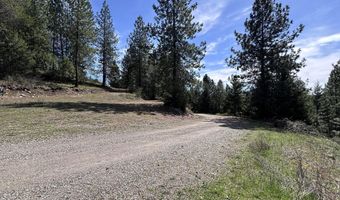 203 Richardsons Ridge Rd, Careywood, ID 83809