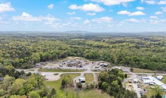 38178 US HWY 231, Ashville, AL 35953