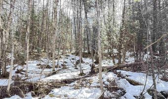 Hollow Road, Barton, VT 05822