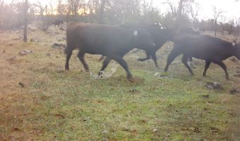 Ash Creek Road, Anderson, CA 96007