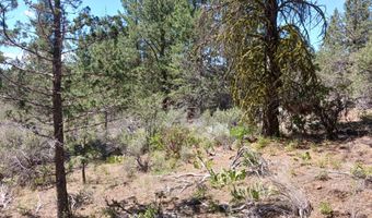 Oriole Drive Lot 12, Bonanza, OR 97623