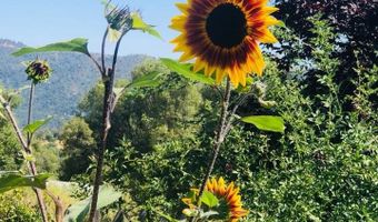 44800 Ahwahnee Acres Rd, Ahwahnee, CA 93601