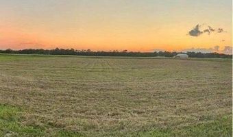 Vie Terre Beau Road, Basile, LA 70515