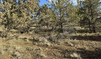Canvasback, Bonanza, OR 97623