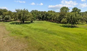 3 W Bluff Ln, Millsap, TX 76066