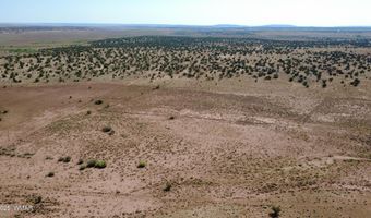 Tbd Wicked Sisters Way 38ac, Concho, AZ 85924