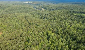 COUNTY ROAD 22, Arley, AL 35541