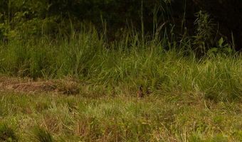 1037 Cr 300, Big Creek, MS 38914