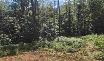 00 Jericho Rd, Bartlett, NH 03812