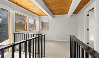 217 Longhorn Ln, Basalt, CO 81621